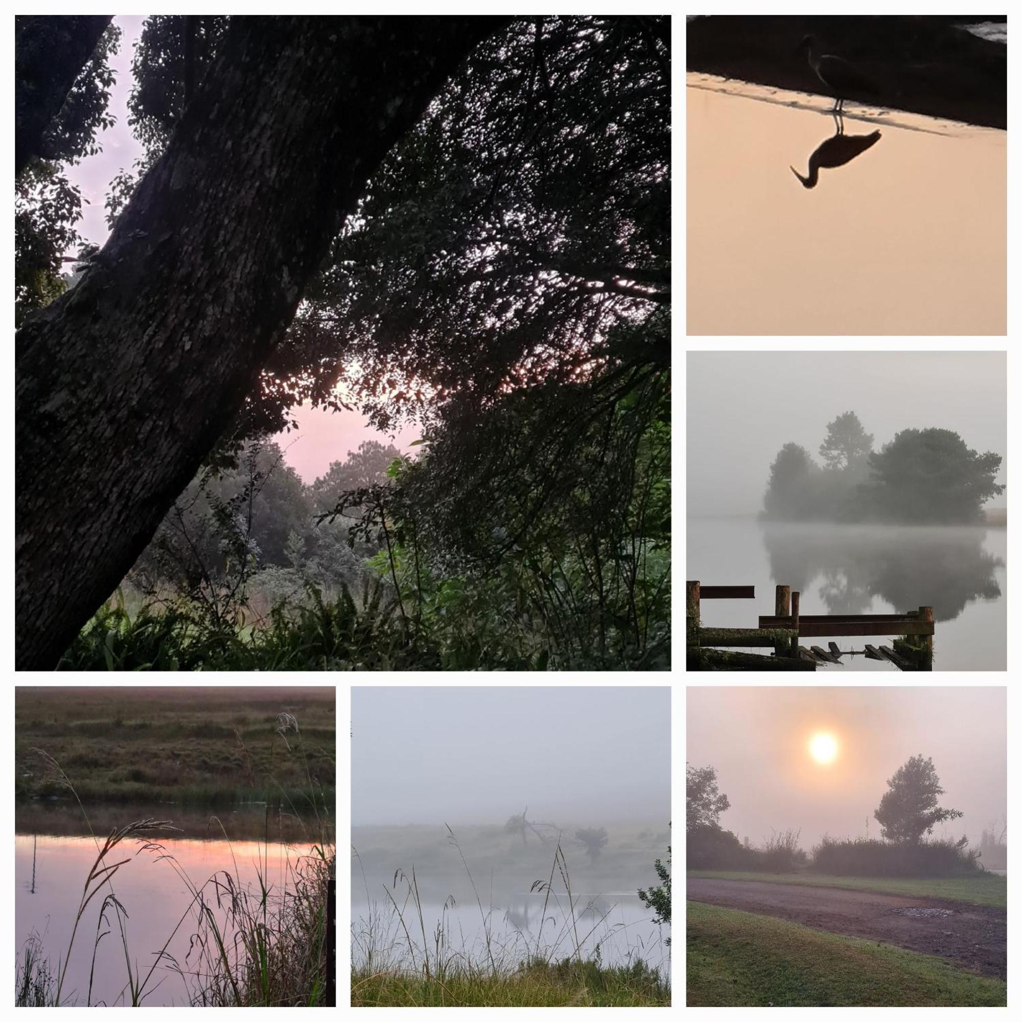 Mosswood Bed & Breakfast 格拉斯科普 外观 照片